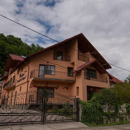 Dupa Apa La Razvan Сигету-Мармацией Экстерьер фото